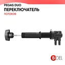 Переключатель потоков PEGAS DUO